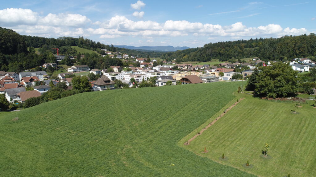 dcim100mediadji 0033.jpg