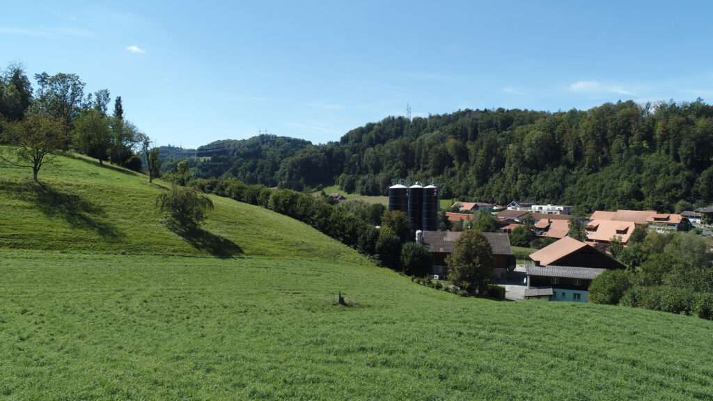 dcim100mediadji 0038.jpg